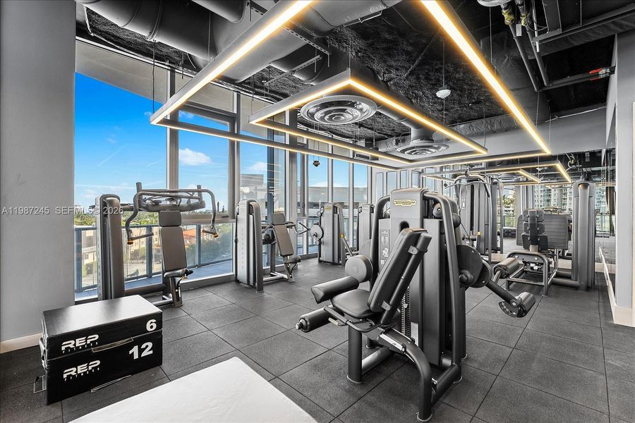 Machine-Assisted Weightlifting Section at Five Park Gym Machine-Assisted Weightlifting Section at Five Park Gym