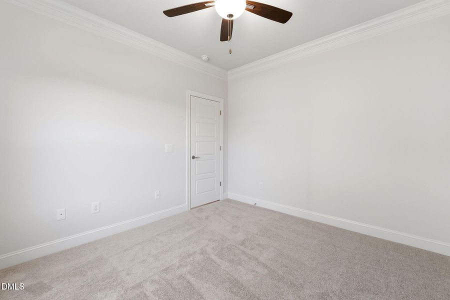 43-web-or-mls-DSC06786