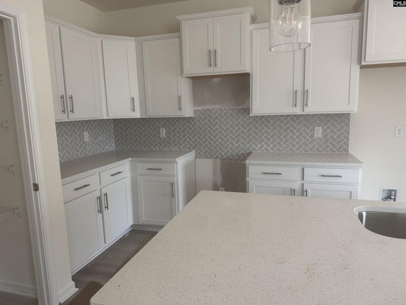 Furnished interior view inside a new home in Boykin Hills, Chapin (Image 4).