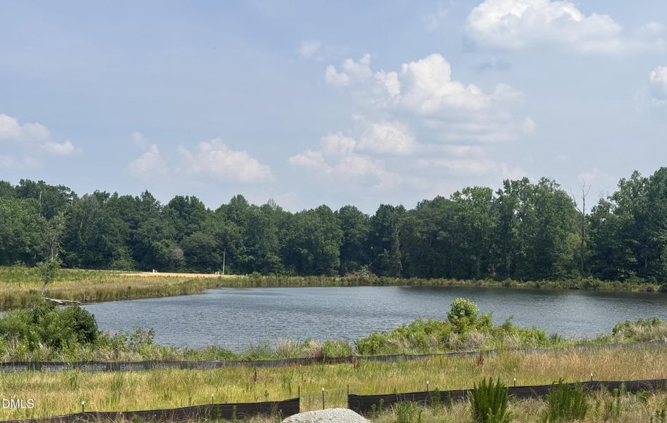 The Pond View from 90