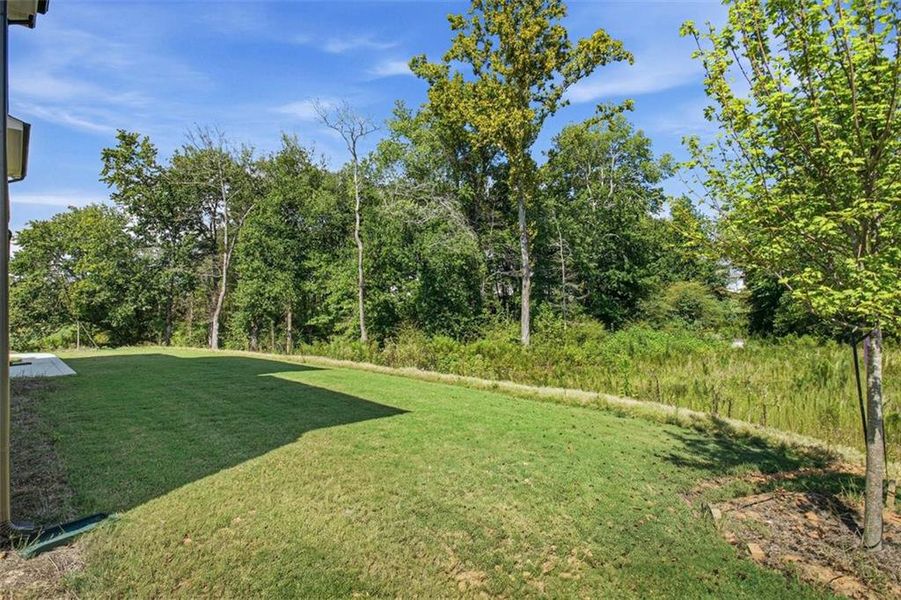 Natural landscape and outdoor views near Conner Farm in Dawsonville (Image 43).