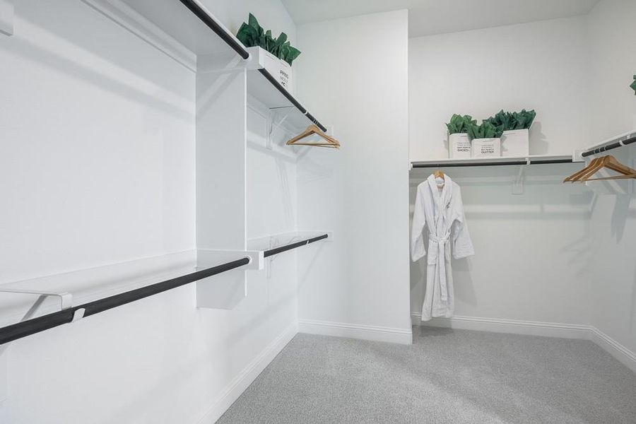 Representative Photo