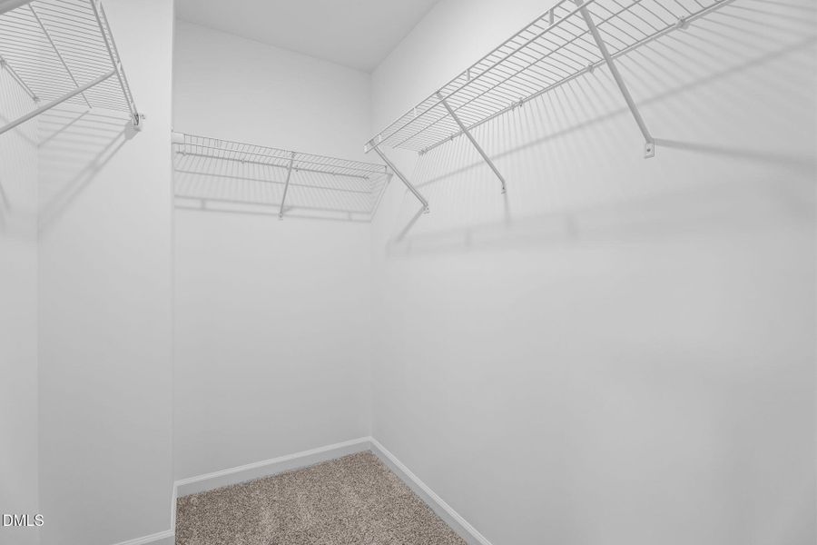 39-web-or-mls-DSC00518