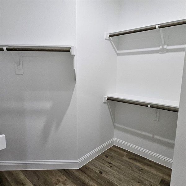 Spacious closet with dark wood-style floors