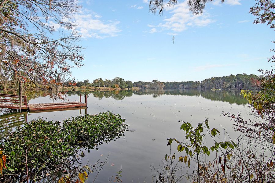 Natural landscape and outdoor views near Heron's Walk at Summers Corner in Summerville (Image 65).