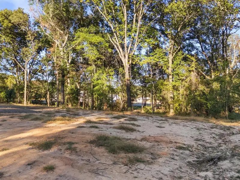 Natural landscape and outdoor views near  in Whitehouse (Image 22).