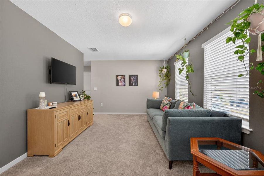 Furnished interior view inside a new home in Caldera, Spring Hill (Image 47).