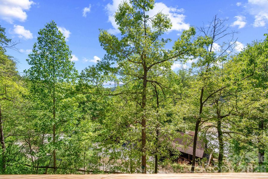 Lovingly called The Bird House, this lovely canopy views gives way to lake & river views 5 months of the year.
