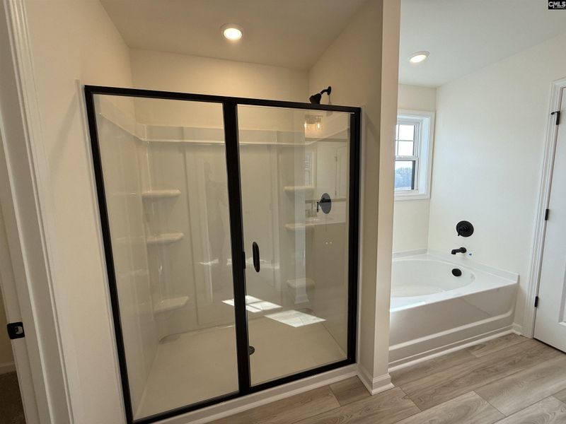Furnished interior view inside a new home in Dunbar Village, Cayce (Image 15).