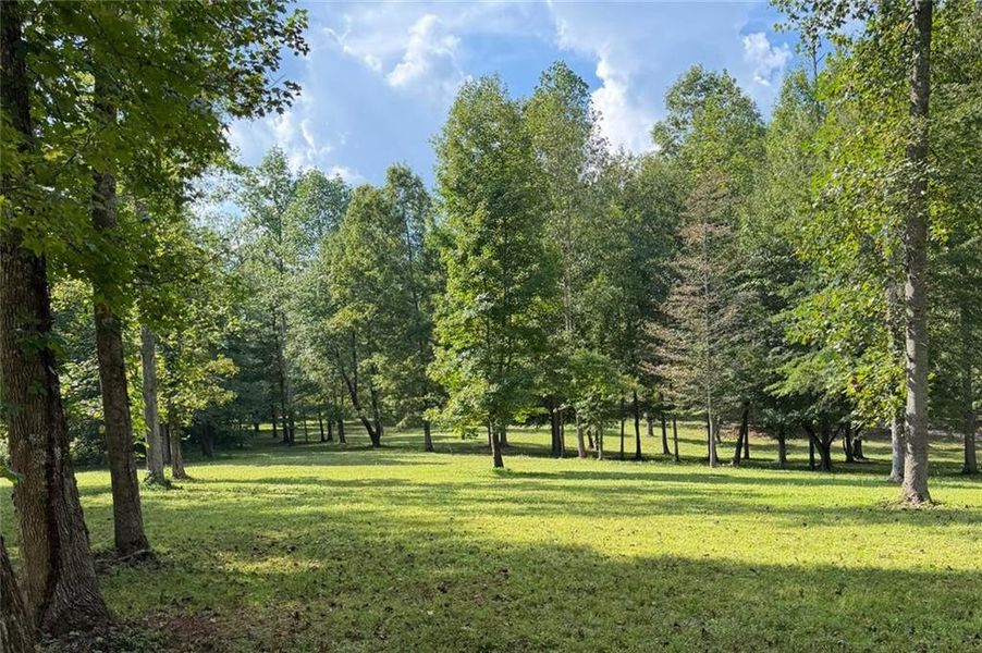 Natural landscape and outdoor views near in Ball Ground (Image 30). Natural landscape and outdoor views near in Ball Ground (Image 30).