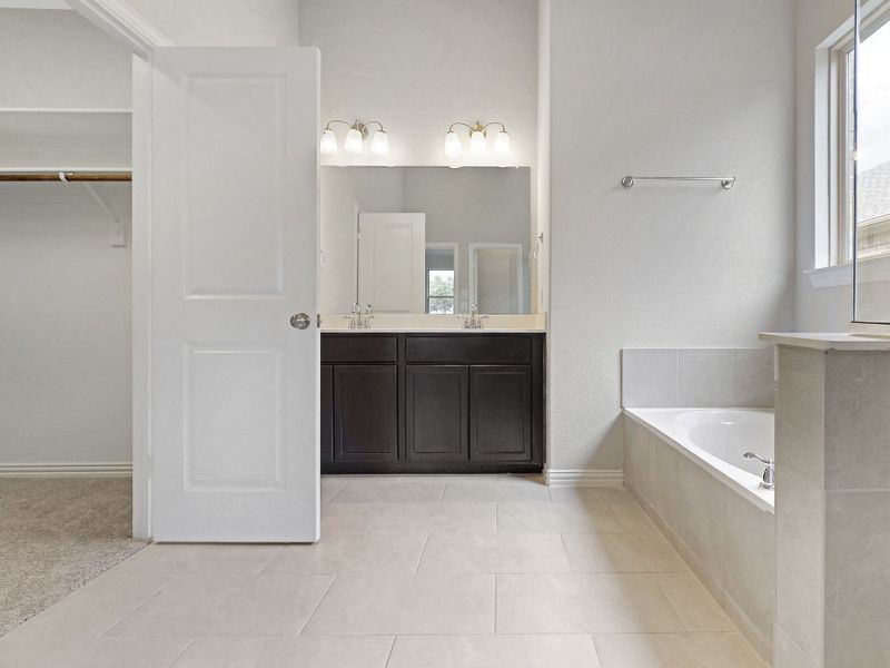 Owner's Bathroom