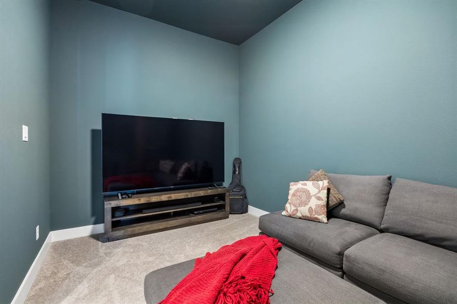 Carpeted room featuring a dark teal wall color, a contrasting dark ceiling, and white baseboards Carpeted room featuring a dark teal wall color, a contrasting dark ceiling, and white baseboards