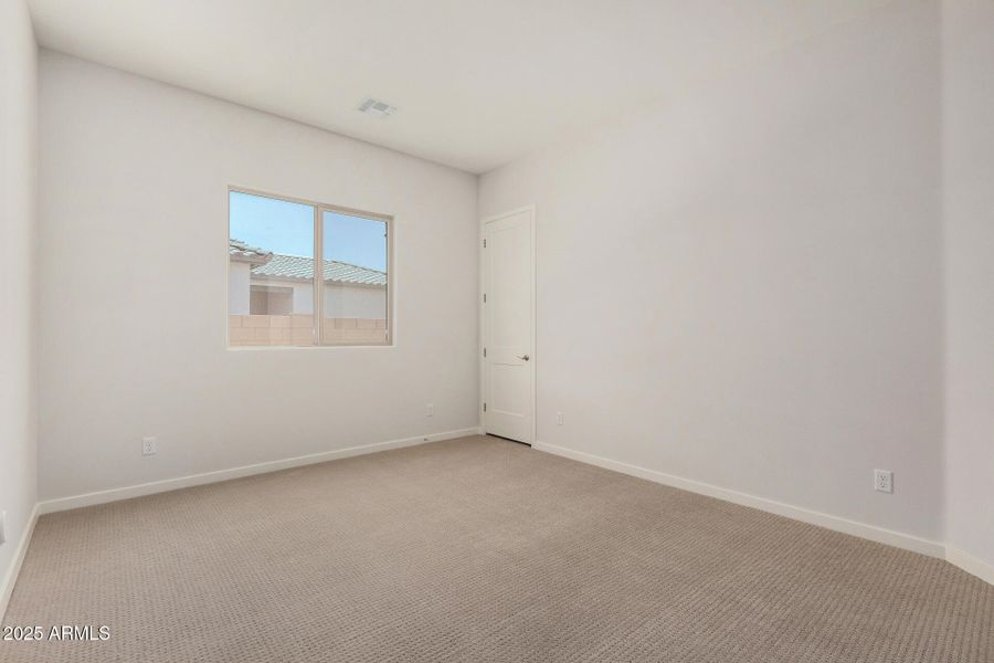 25 - Royal Palm 25 - Royal Palm