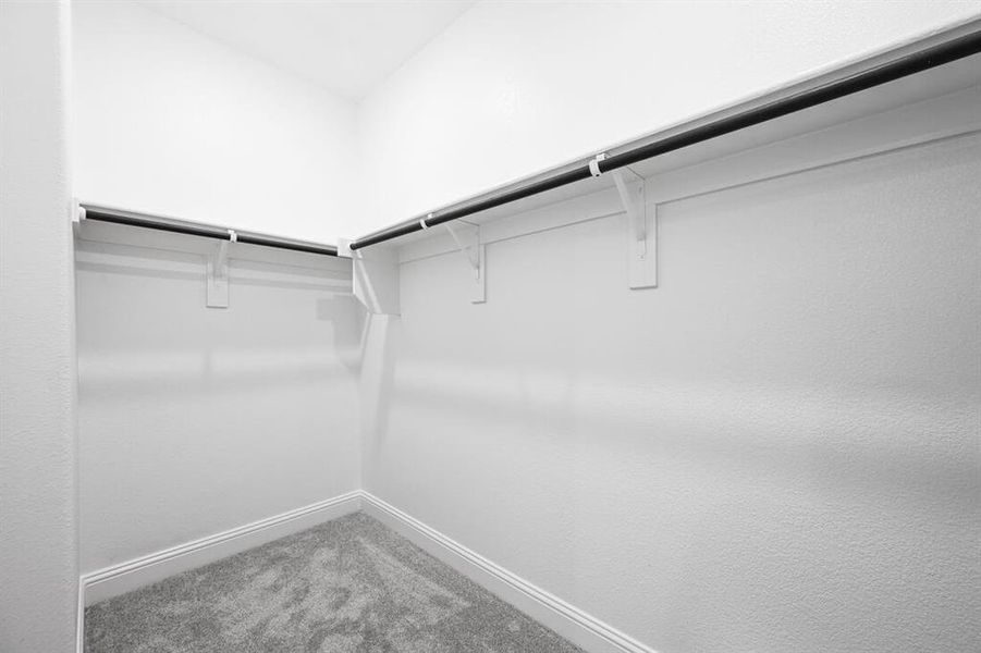 1417 Zapateado Way ~ Ready Now