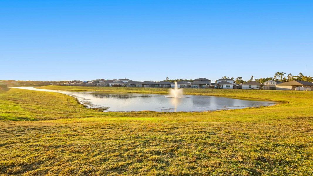 Natural landscape and outdoor views near Granger Pines in Conroe (Image 20).