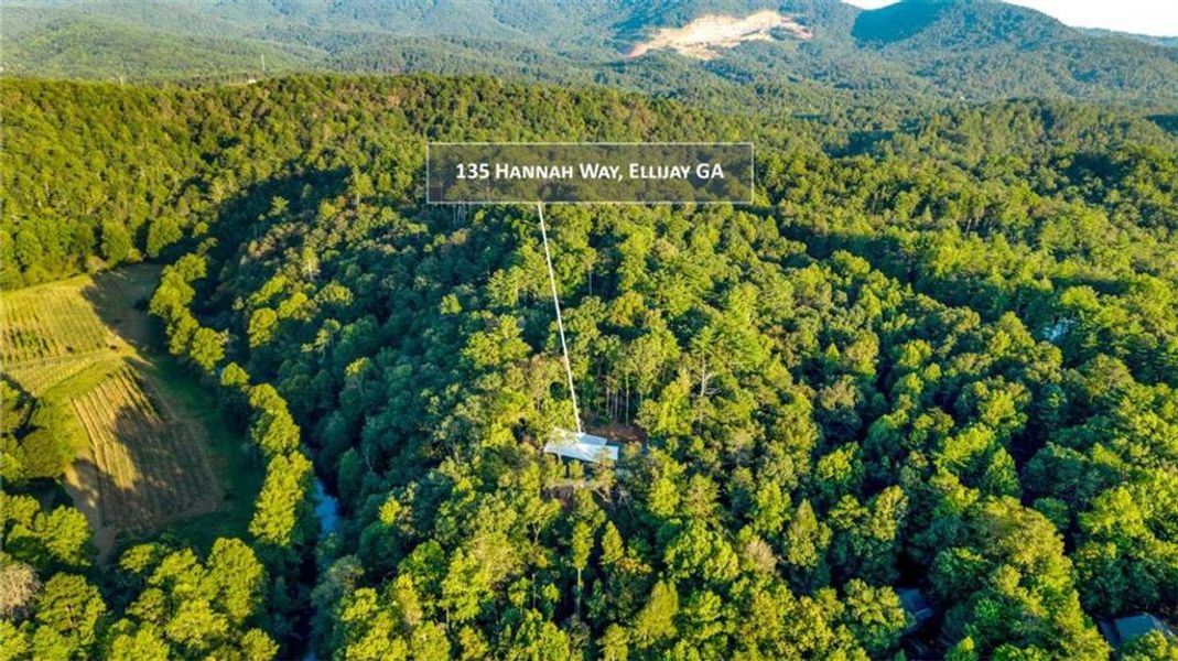 Natural landscape and outdoor views near in Ellijay (Image 58). Natural landscape and outdoor views near in Ellijay (Image 58).