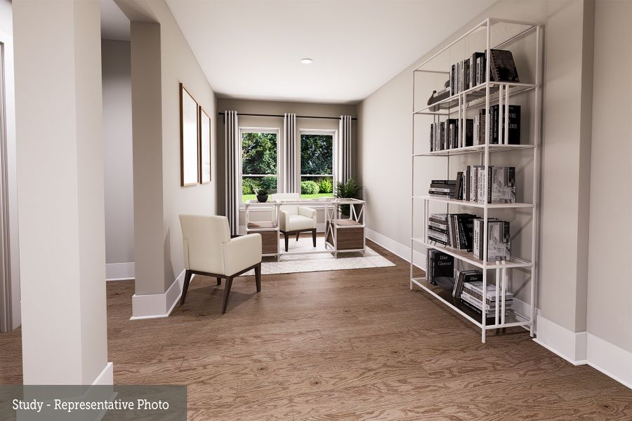 The Mendoza - Study The Mendoza - Study