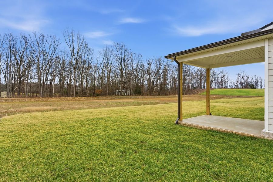 A grassy area with trees in the background.