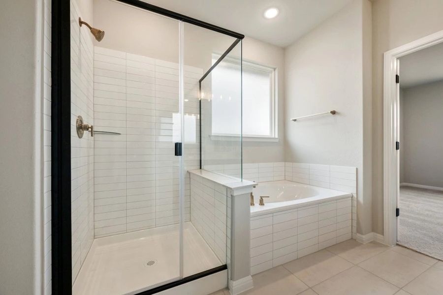Primary Shower and Bathtub