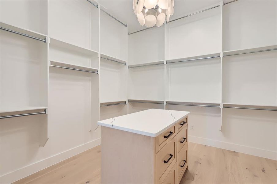 Spacious closet featuring light wood-type flooring