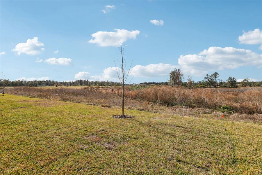 Natural landscape and outdoor views near Two Rivers - Signature Series in Zephyrhills (Image 55). Natural landscape and outdoor views near Two Rivers - Signature Series in Zephyrhills (Image 55).