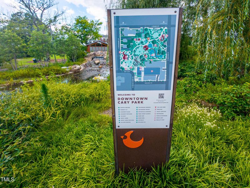 Downtown Cary 06-22-16