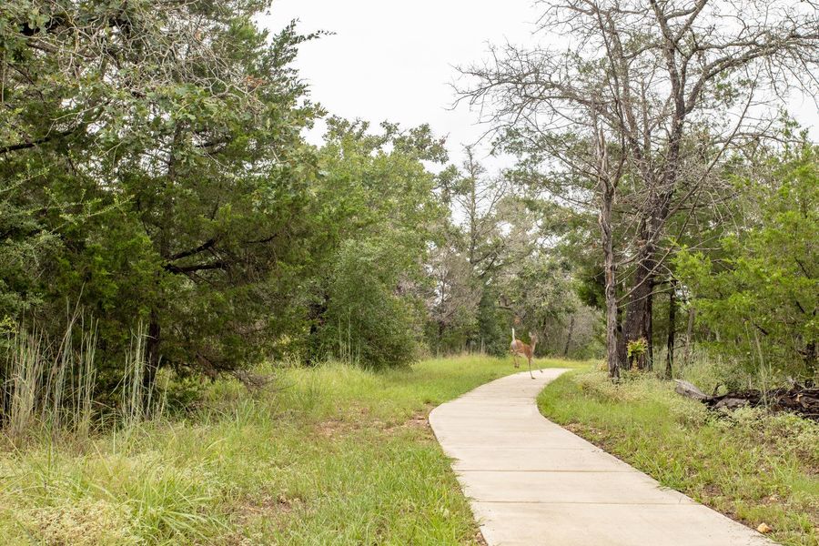 Natural landscape and outdoor views near The Colony - 45' in Bastrop (Image 19).