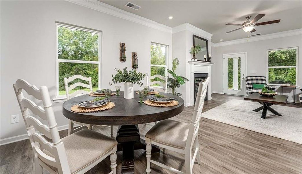 Furnished interior view inside a new home in Saddle Ridge, Calhoun (Image 10).