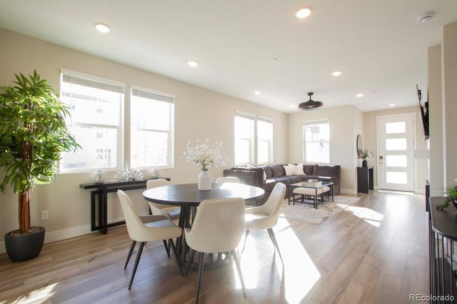 DINING AREA/LIVING ROOM