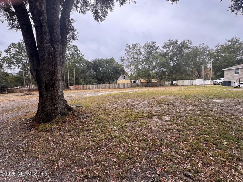 Natural landscape and outdoor views near  in Fernandina Beach (Image 27).