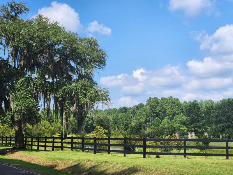 Natural landscape and outdoor views near Rivers Reach in Yemassee (Image 38).