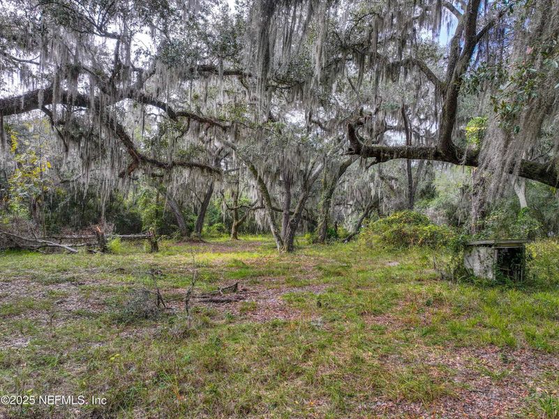 Natural landscape and outdoor views near in St. Augustine (Image 12). Natural landscape and outdoor views near in St. Augustine (Image 12).