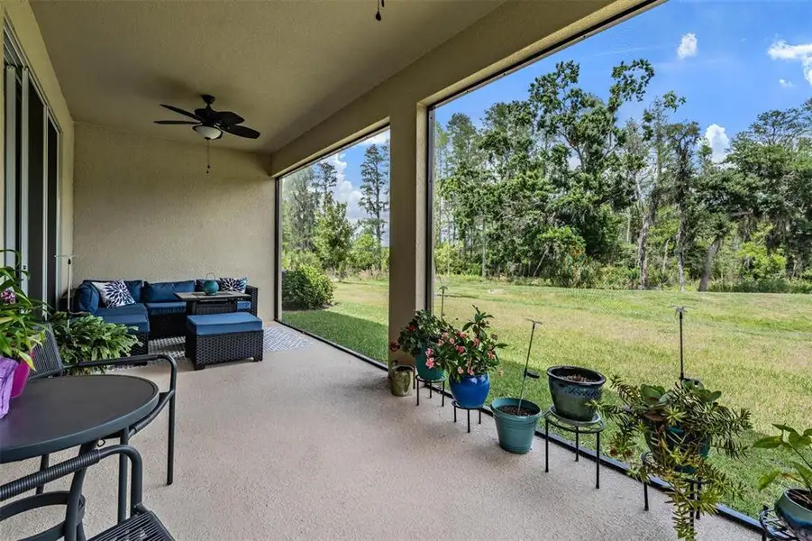 Exterior details and patio area of a home in Deerbrook, Land O' Lakes (Image 3).