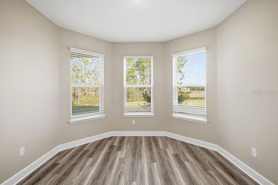 Spacious, unfurnished interior of a new home in Hammock at Two Rivers, Zephyrhills (Image 21).