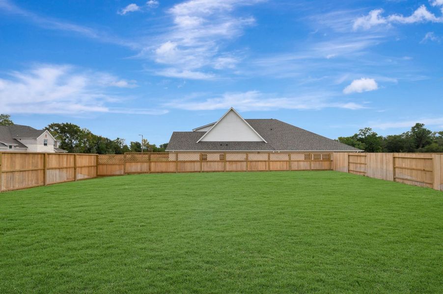 Backyard