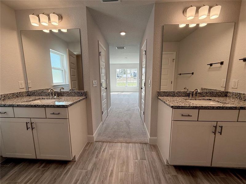 Primary En-Suite toward bedroom