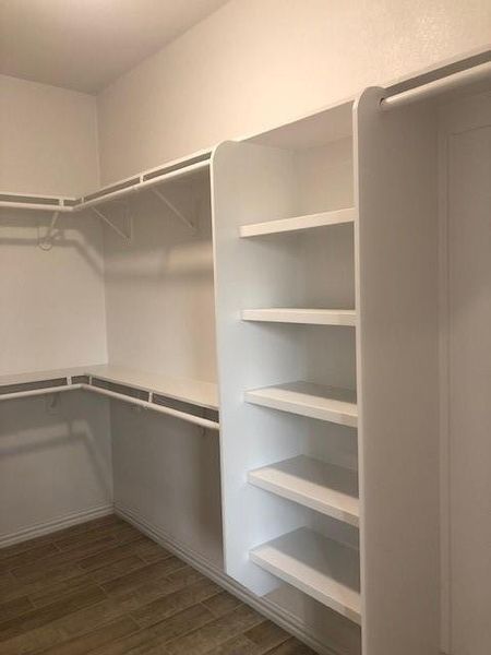 Walk in closet featuring dark hardwood / wood-style flooring