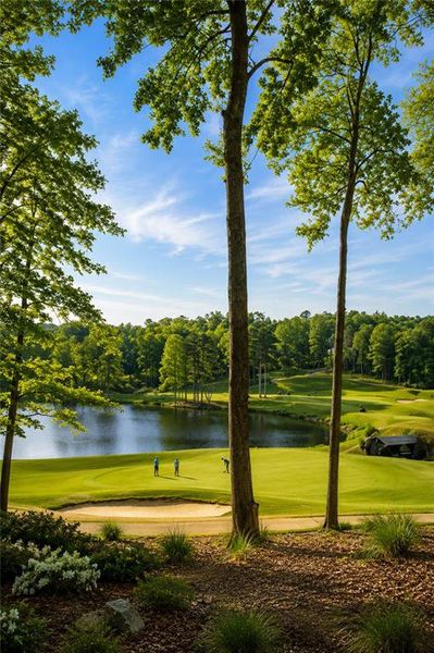 Natural landscape and outdoor views near  in Alpharetta (Image 14).