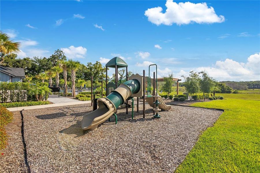 Community amenities in Oakfield at Mount Dora Village Series, Mount Dora (Image 47).