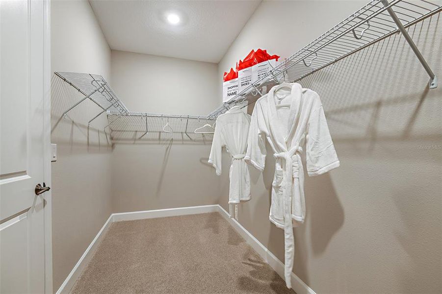 Spacious, unfurnished interior of a new home in Ardisia Park, New Smyrna Beach (Image 20).