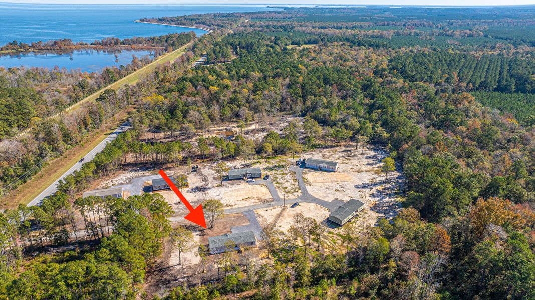 Site preparation for new homesites in , Pinopolis (Image 52).