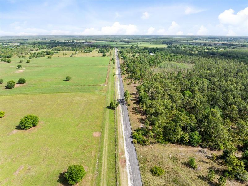 Natural landscape and outdoor views near  in Yeehaw Junction (Image 37).