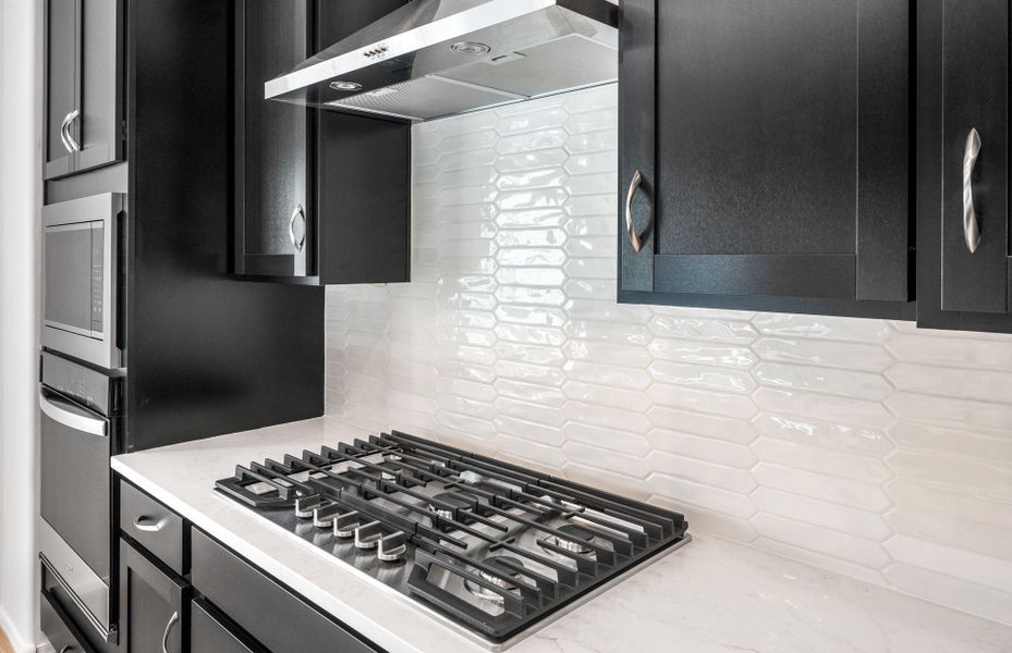 Close-up of interior finishes inside a home in Parkside at Anthem at Merrill Ranch, Florence (Image 13).