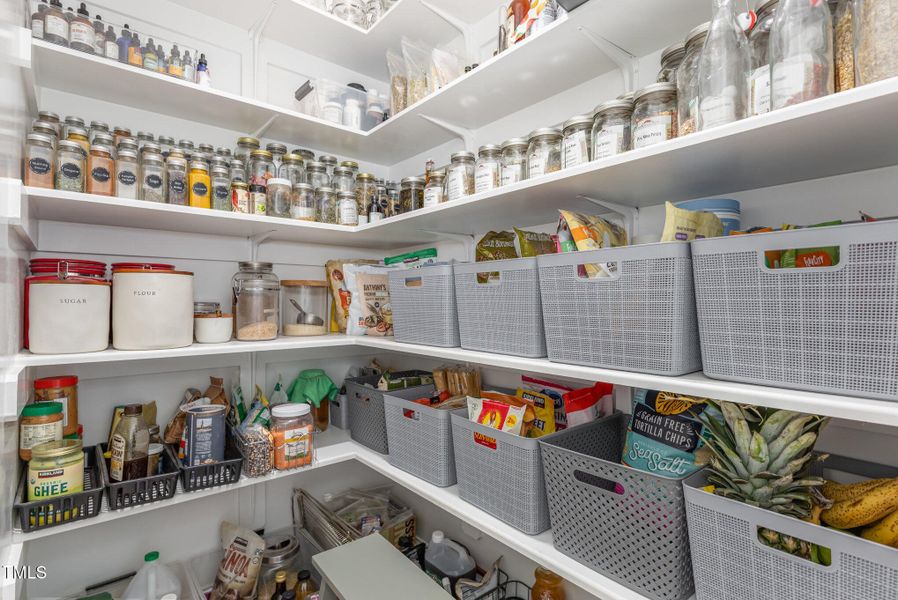 020_img_3105-edit_247