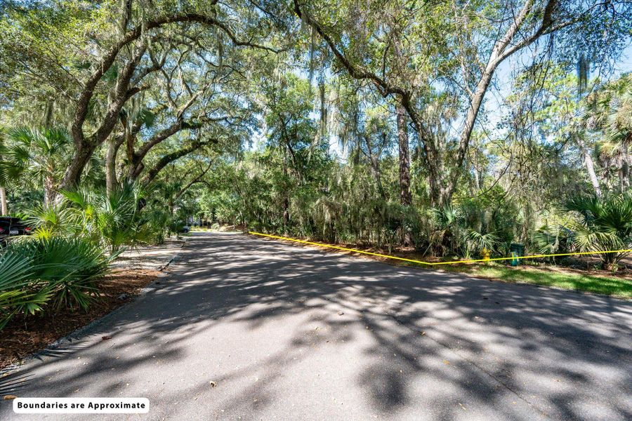 Natural landscape and outdoor views near  in Seabrook Island (Image 9).