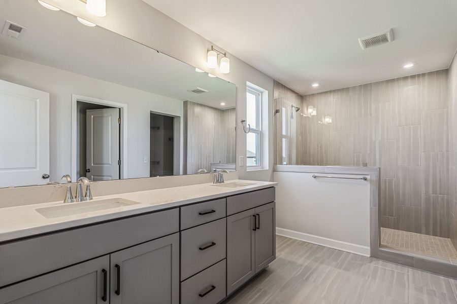 Owner's Bath