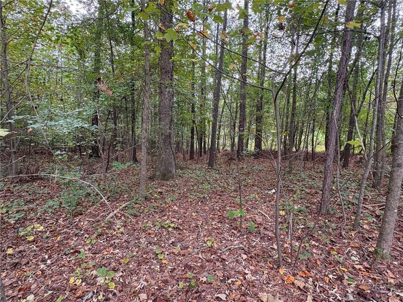 Natural landscape and outdoor views near in Jasper (Image 13). Natural landscape and outdoor views near in Jasper (Image 13).