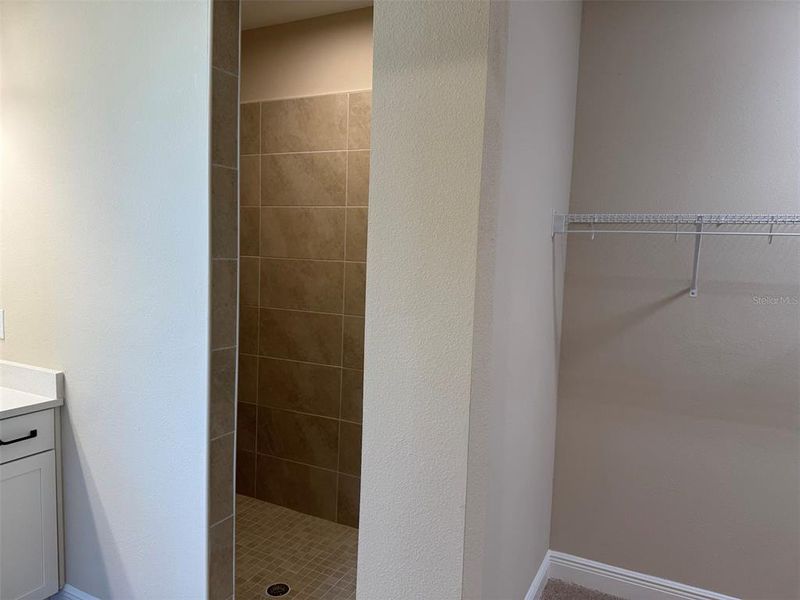 Shower In Master Bedroom