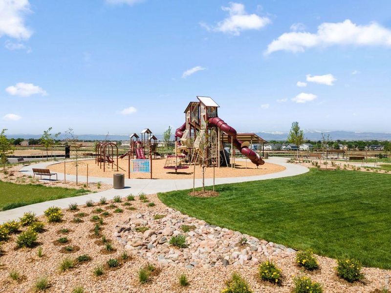 Community amenities in Cordovan, Longmont (Image 26). Community amenities in Cordovan, Longmont (Image 26).