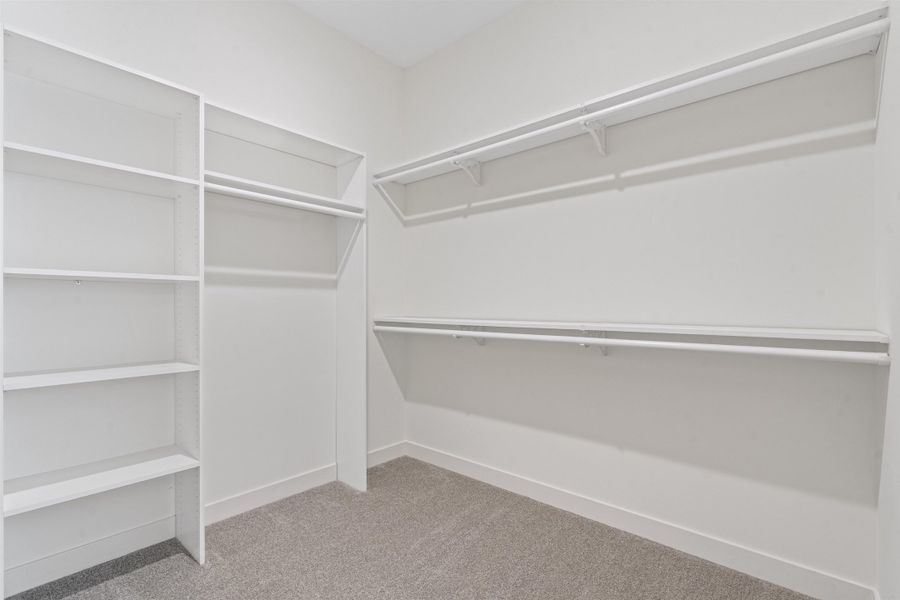 Walk in closet featuring light colored carpet